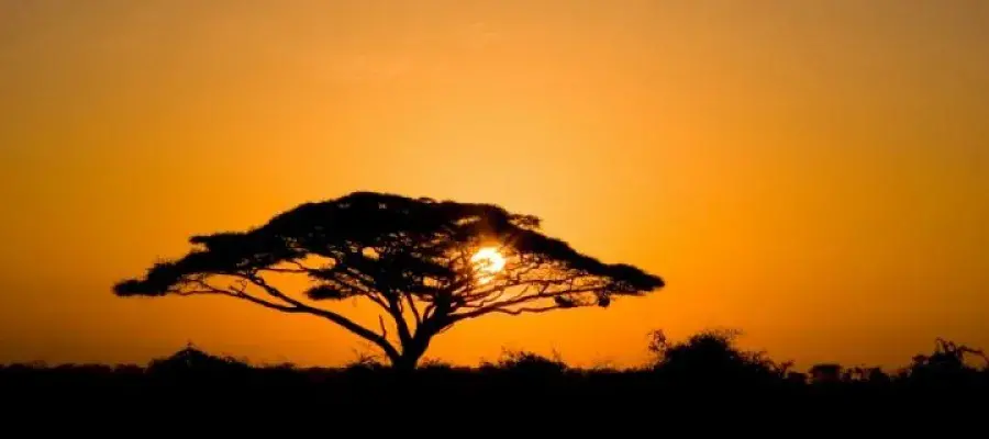 Africa